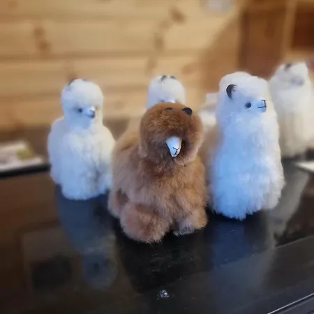 Arctic Dome 럭셔리텐트 *